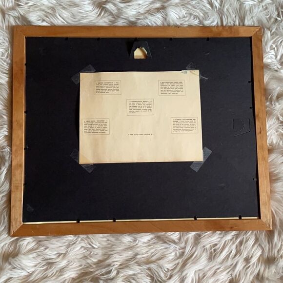 Paul Loring Old Gull Rock Light, Newport Matted and Framed Print - Picture 8 of 16